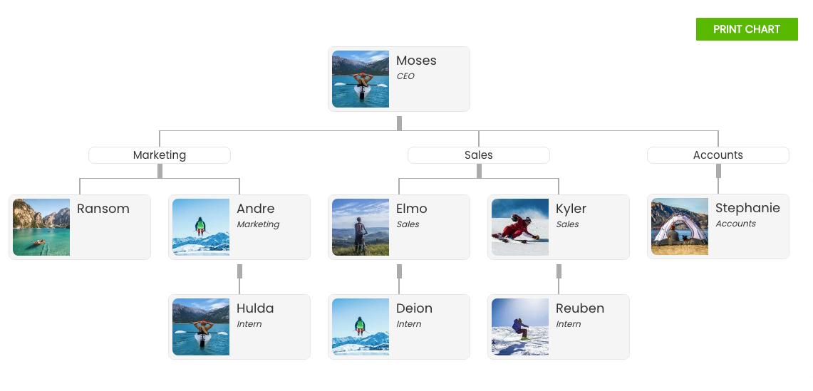 Wordpress Org chart